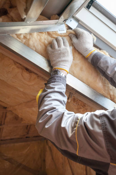 Types of Insulation We Offer in KY